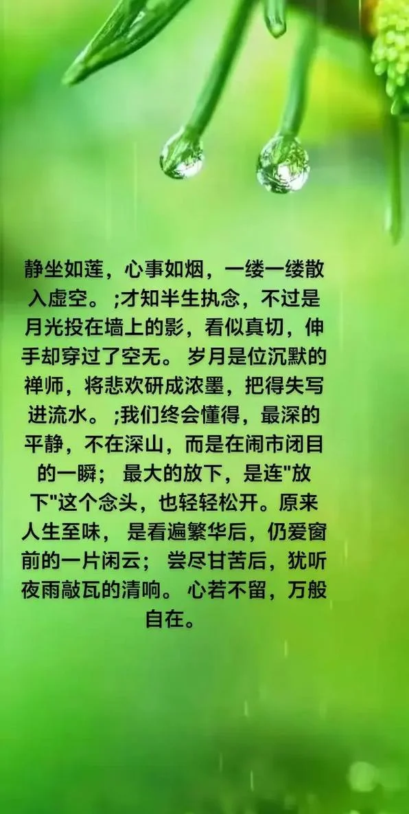 古观音禅寺禅七感悟_2