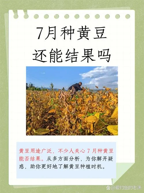 孕妇梦见吃黄豆-孕妇梦见吃黄豆