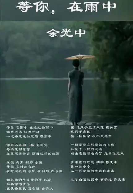 我在雨中等你下一句_1
