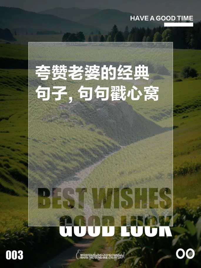 做个好妻子的说说_1