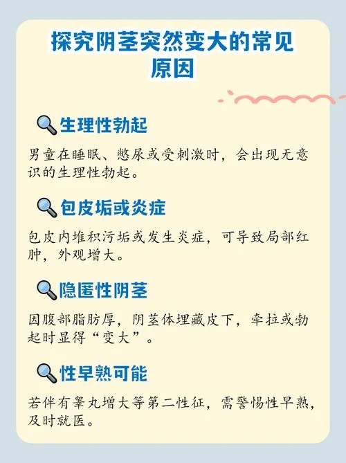 梦见老公阴茎变大_2