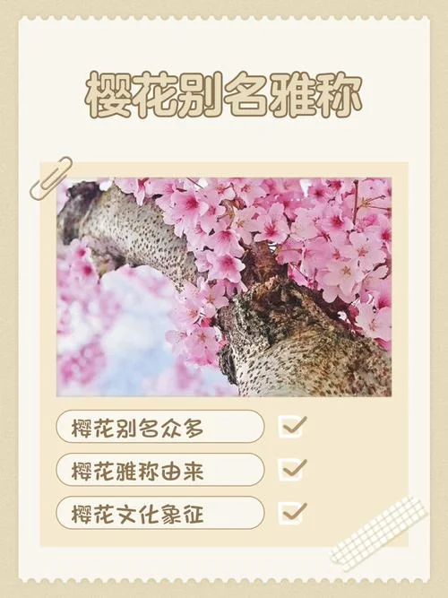 樱花日语留学好吗_2