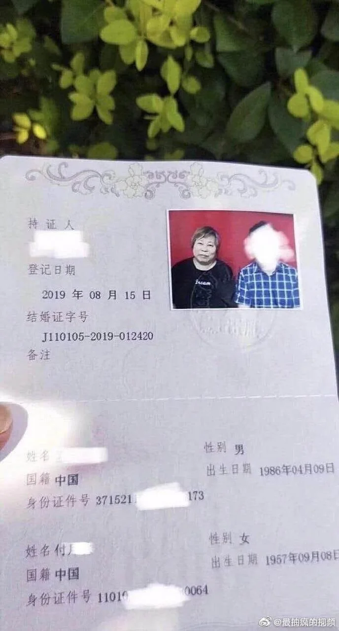 女大三抱金砖出处_1