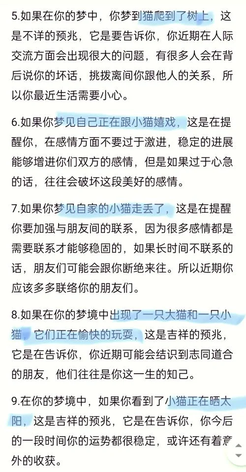 梦见猫被打死是啥意思-梦见猫死有何寓意