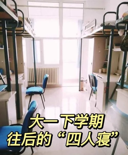 大学宿舍生活感悟_1