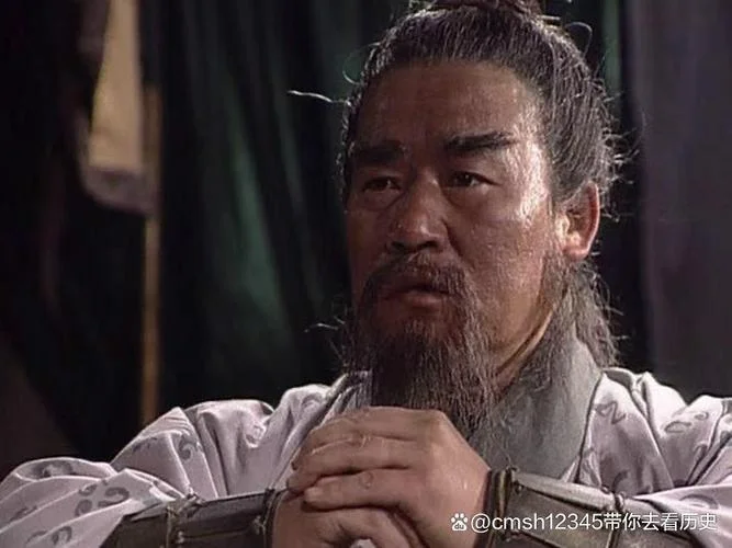 张郃人物历史讲解_2