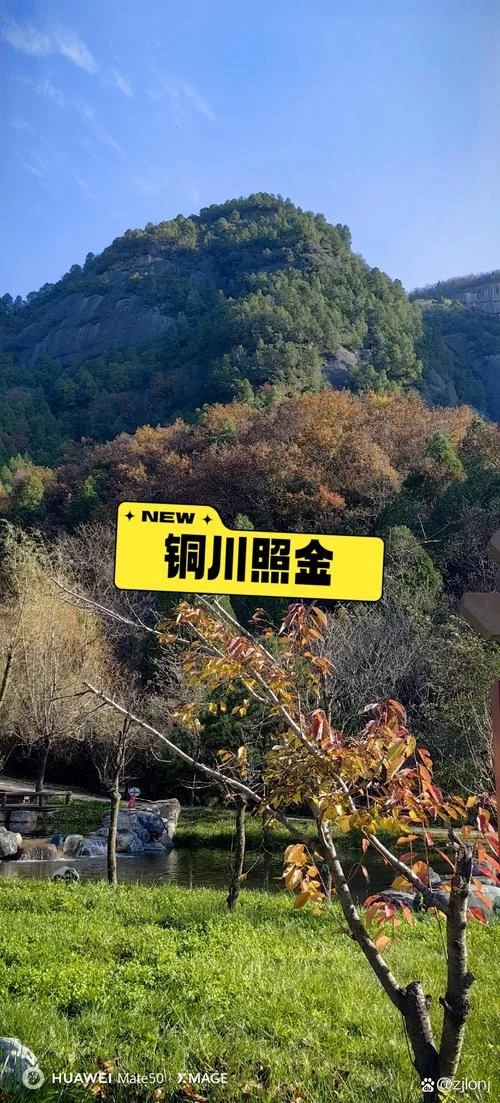 铜川照金的旅游景点-铜川照金旅游胜