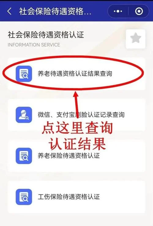 养老金认证的方法_2