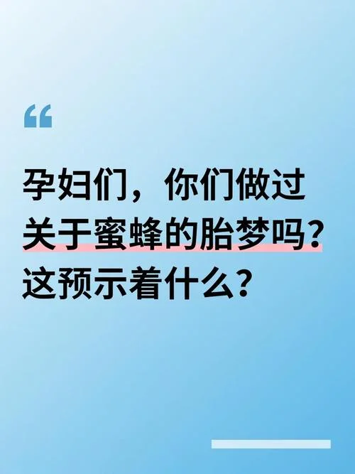 做梦梦到蜜蜂追我_1