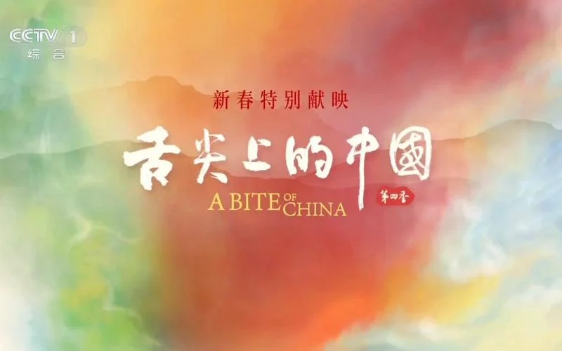 央视美食纪录片叫什么-央视美食纪录片名称