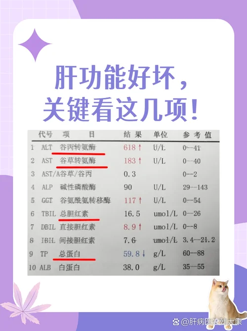 如何查肝纤维化指标_1