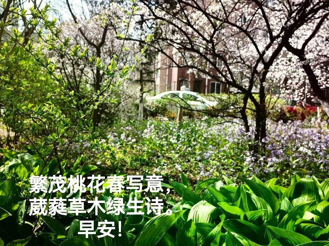 葳蕤出自哪首诗_2