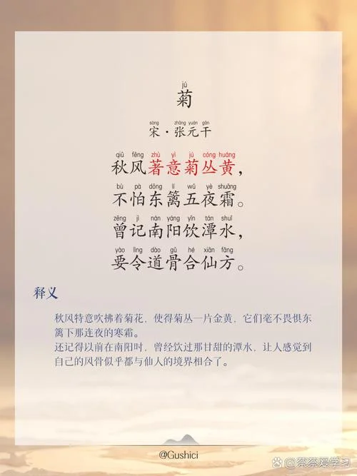 近种篱边菊出自_1