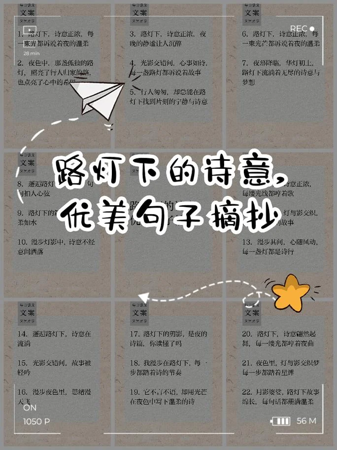 优美句子有出处_2