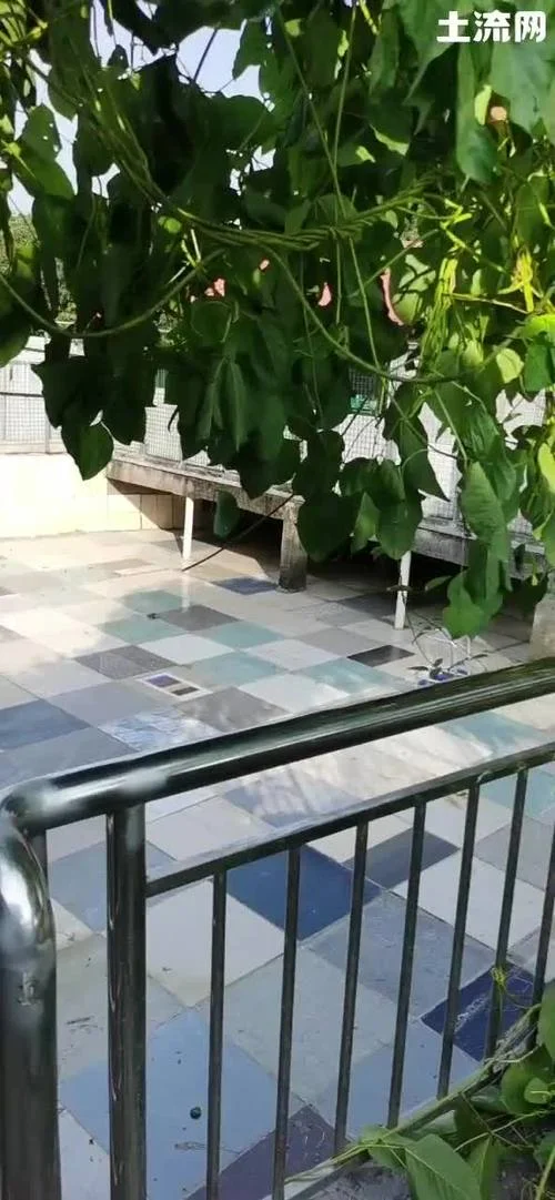 五亩地等于多少平方土_2
