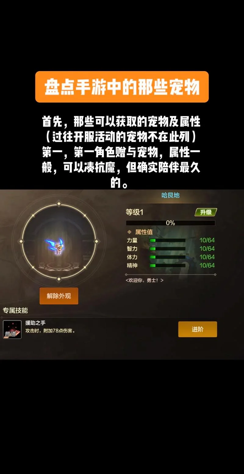 dnf兔子宠物叫什么_2