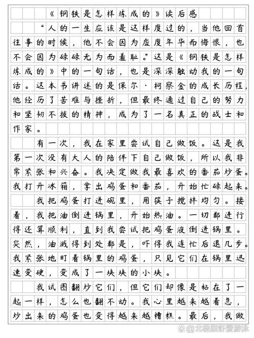 钢铁是怎样炼成的第三章读后感悟_1