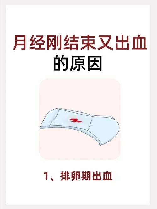 梦见自己的例假血是什么意思-梦见例假出血含义