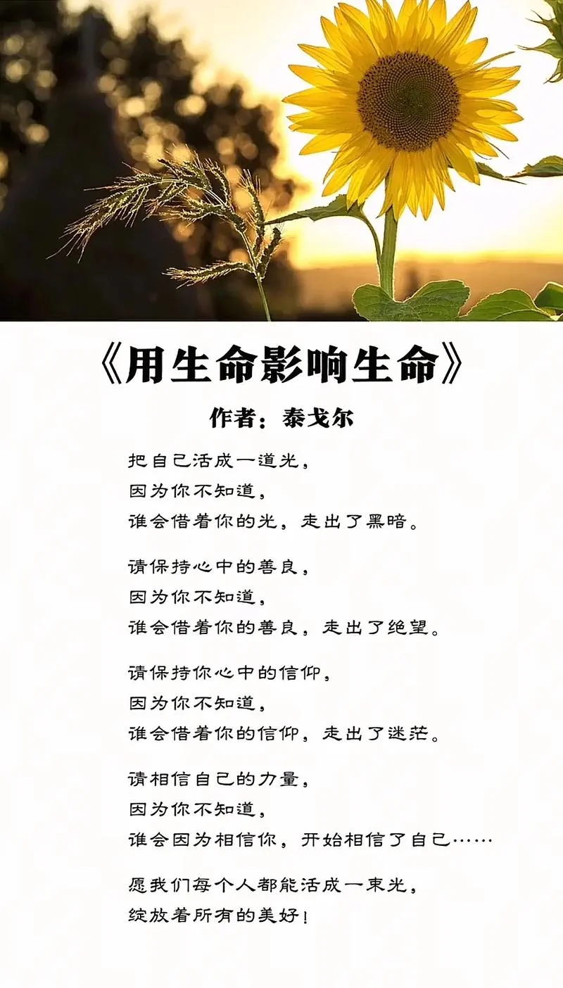 生命教育感悟_2