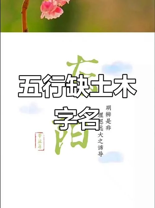 起名缺木男孩名字大全_2
