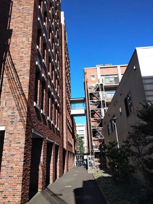 日本立教大学留学_2