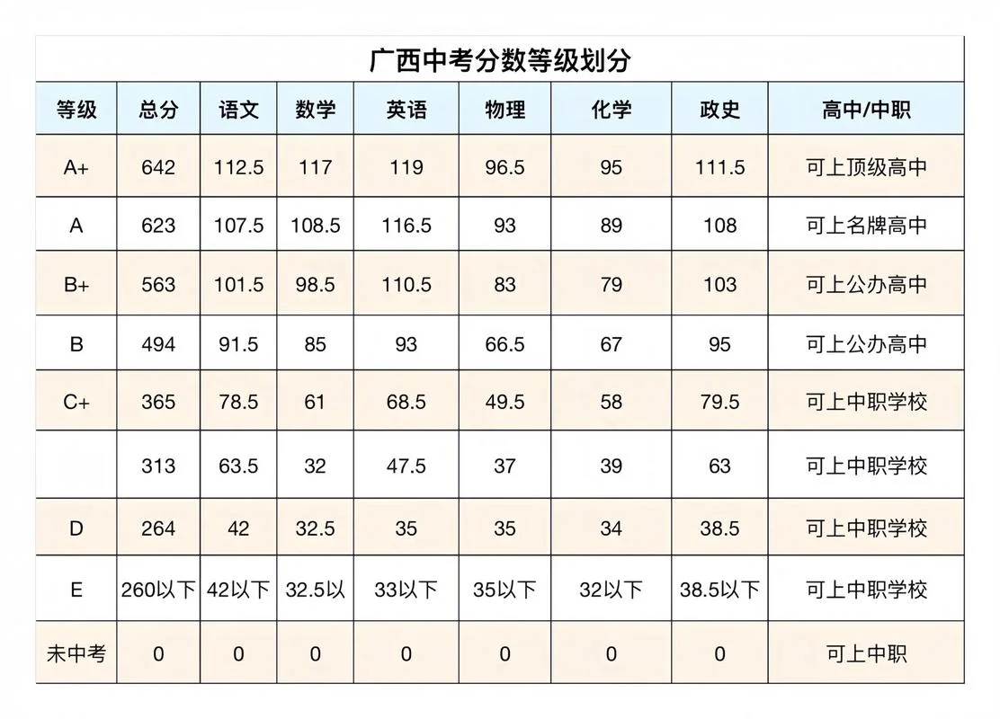 南宁体育中考成绩_1