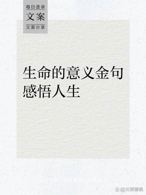 生活意义感悟_1
