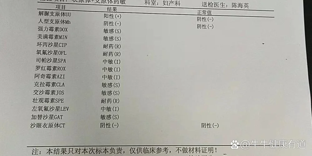 做支原体检查多少钱-支原体检查费用