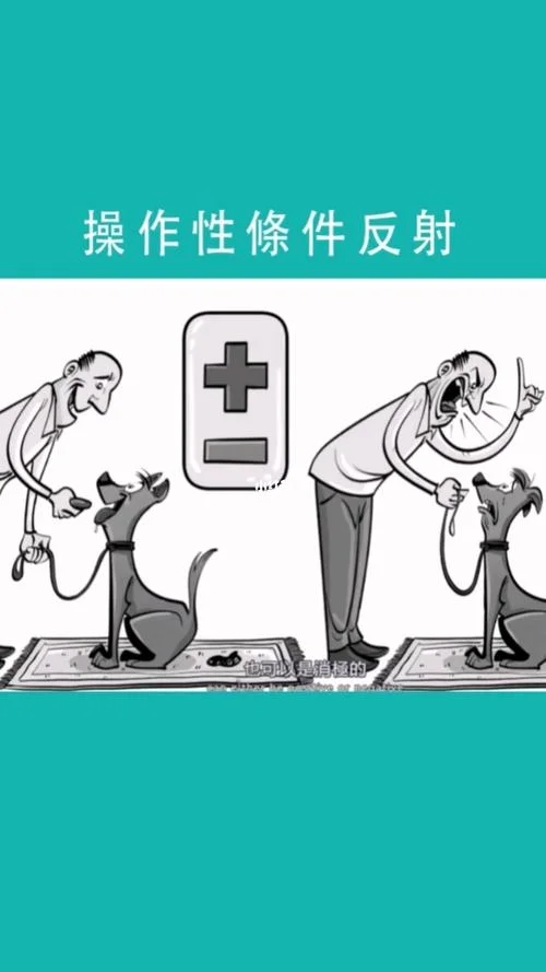 经典性条件反射_1