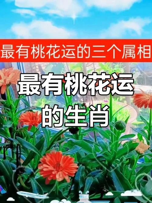 属蛇的哪年桃花运最旺_1