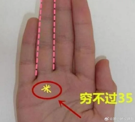 转运的手相_1