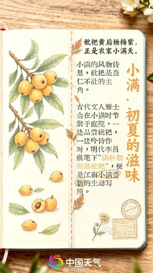 出生在小满叫什么名字好_1