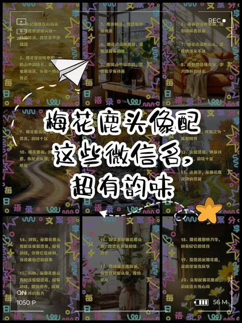 鹿姓女孩起名字一个字_1