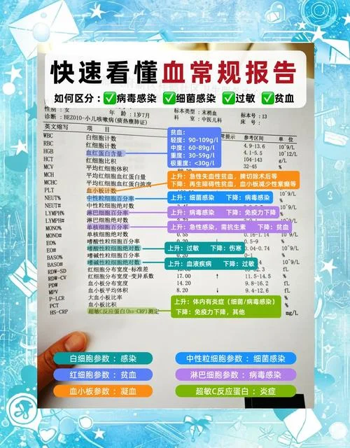 血常规是测什么的_1