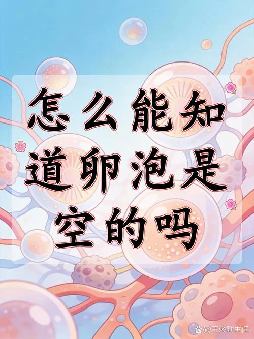 如何查卵泡_2