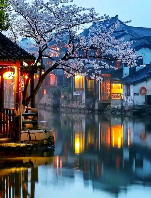 嘉兴一日游最值得去的地方-嘉兴一日游必去地