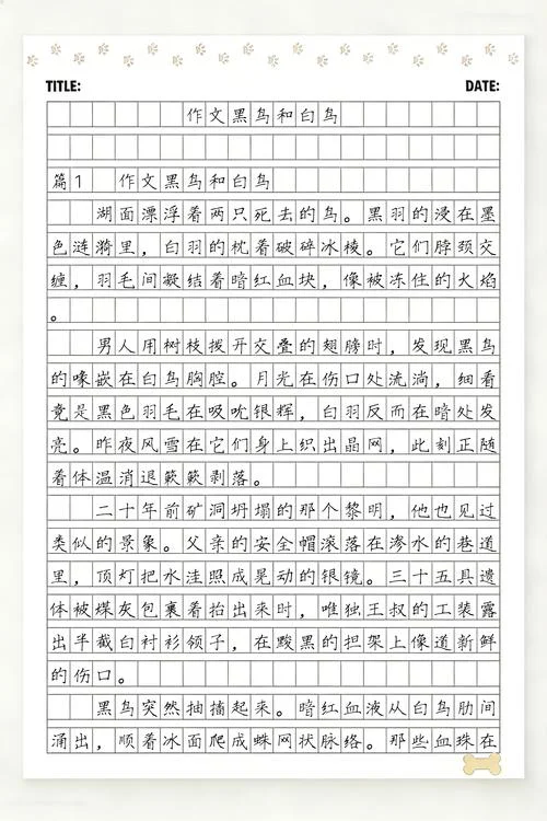 黑鸟和白鸟的道理_2