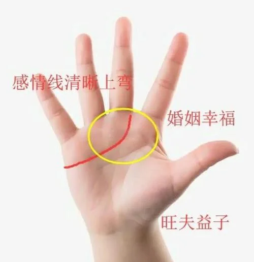 手相怎么看缘分-看手相看缘分