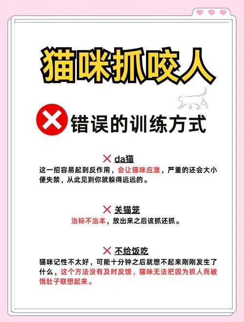 猫刑是指什么刑法_2