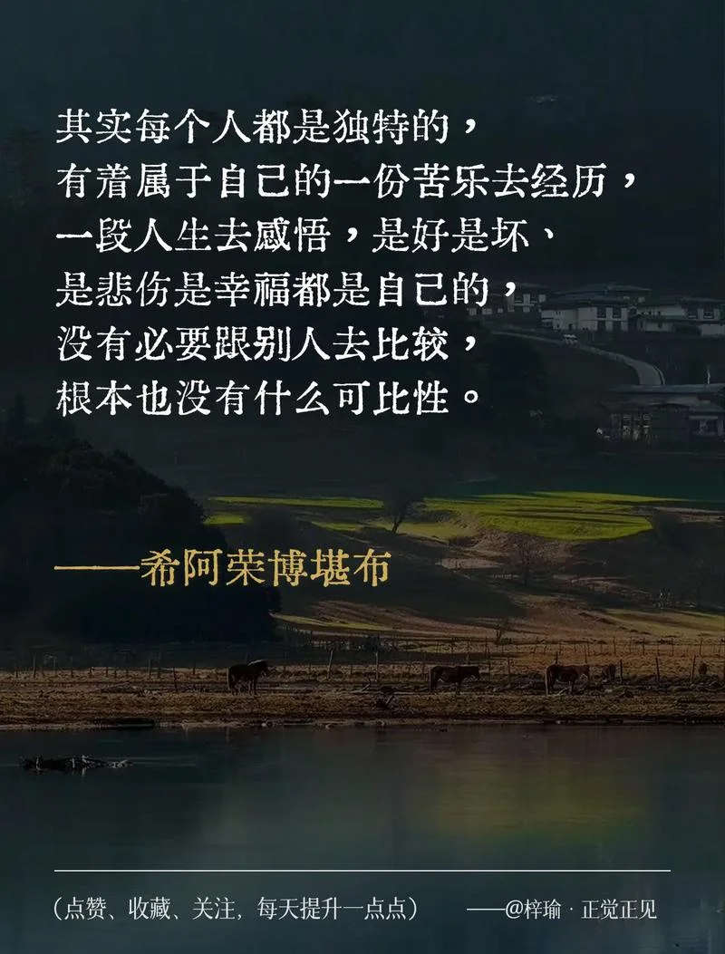 不曾苟且感悟_1