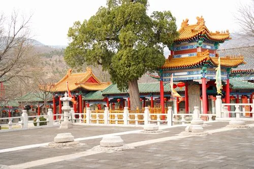 临朐旅游景点东镇-临朐东镇旅游景点