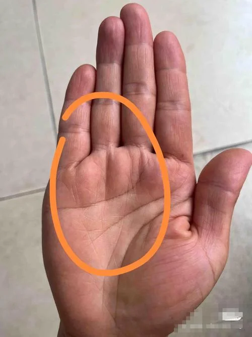 最罕见的手相纹_2