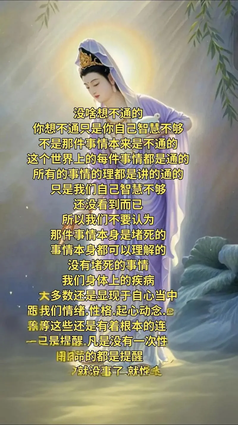 圣人无常师是谁写的_1