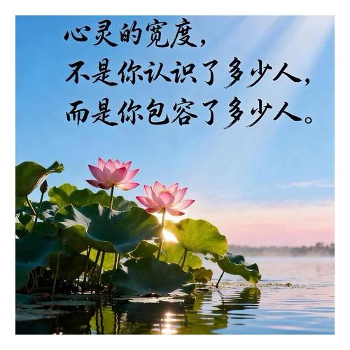 懂得人生感悟_2
