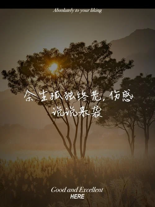 一个人好孤单的说说_1