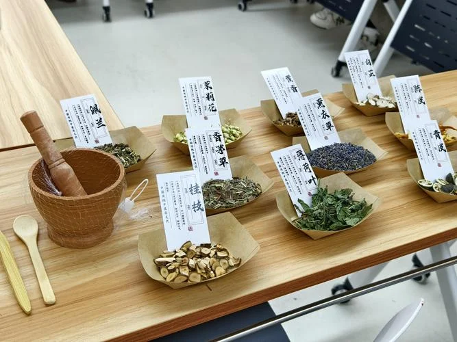 传承历史文脉-赓续历史文脉