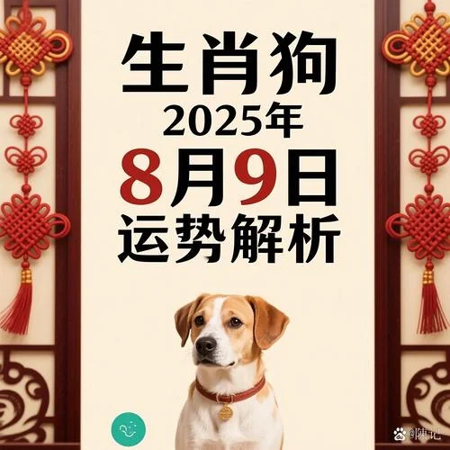 属狗人运势及运程-属狗人运程详解