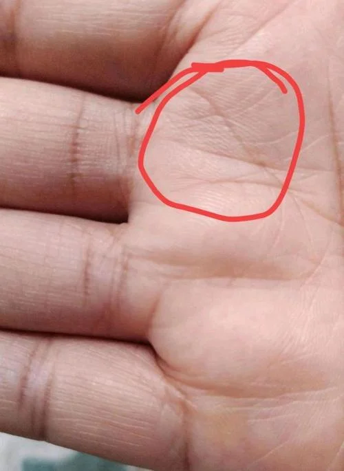 怎么搞笑的说手相问题_2