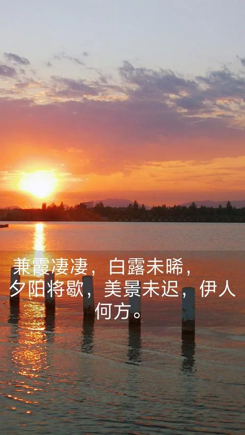 美景末迟作者是谁_1