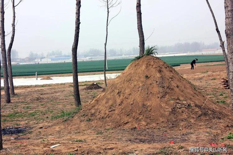 梦见自己的坟墓被挖了_2